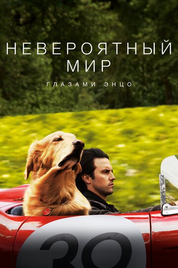 Невероятный мир глазами Энцо / The Art of Racing in the Rain / (2019)